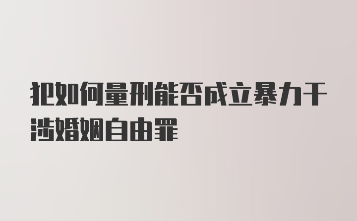 犯如何量刑能否成立暴力干涉婚姻自由罪