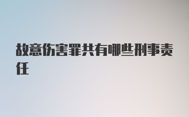 故意伤害罪共有哪些刑事责任