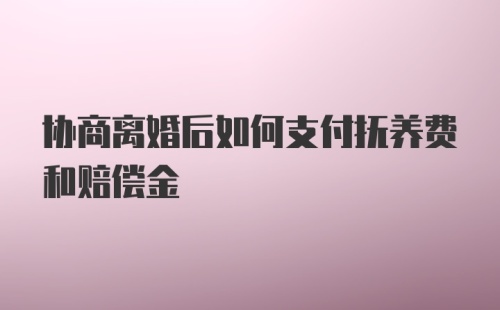 协商离婚后如何支付抚养费和赔偿金