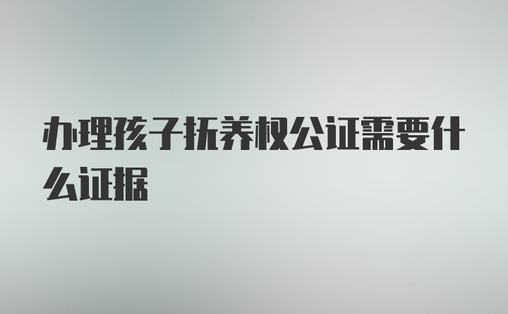 办理孩子抚养权公证需要什么证据