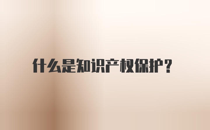 什么是知识产权保护？