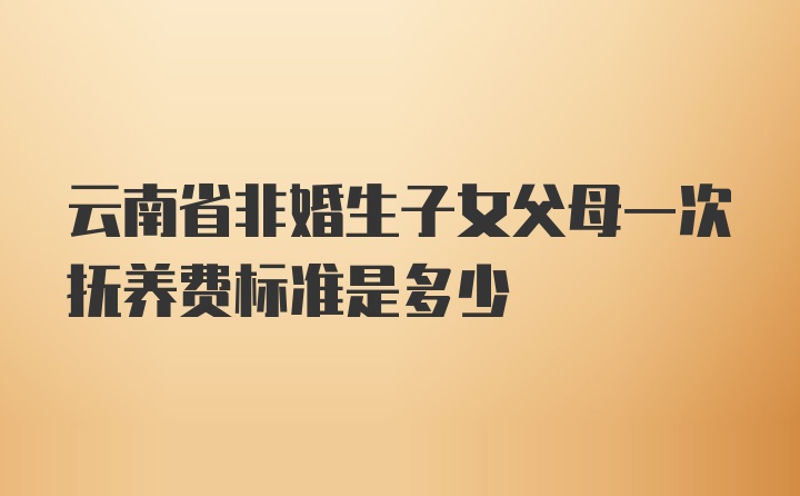 云南省非婚生子女父母一次抚养费标准是多少