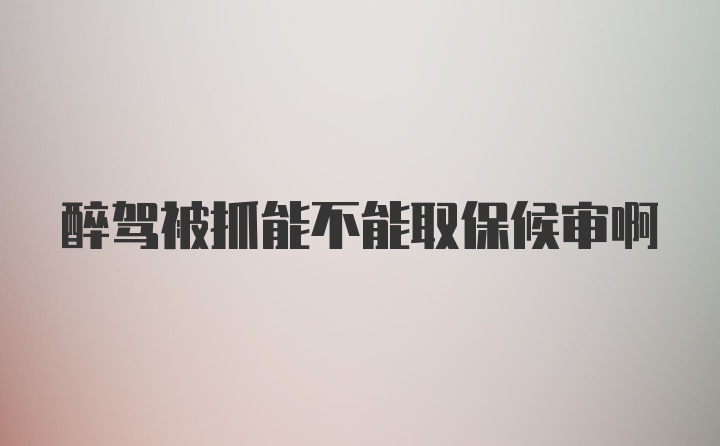 醉驾被抓能不能取保候审啊