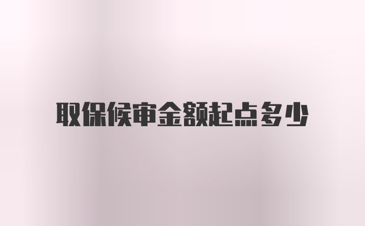 取保候审金额起点多少