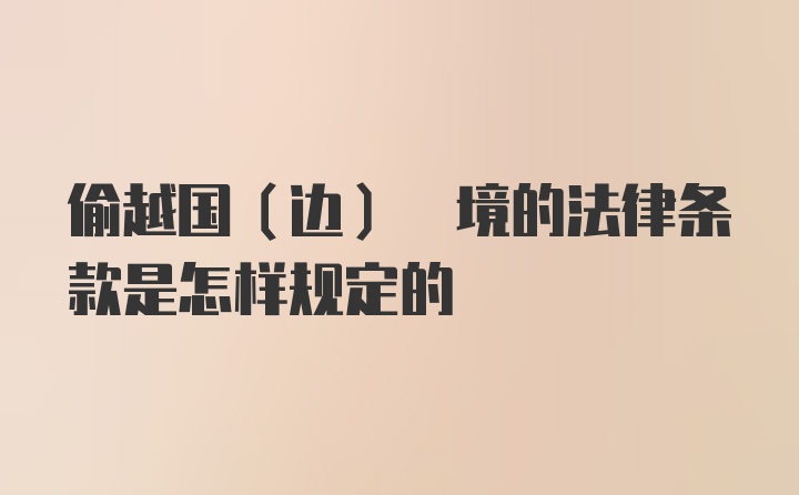 偷越国(边) 境的法律条款是怎样规定的