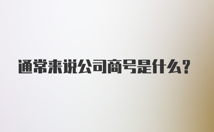 通常来说公司商号是什么？