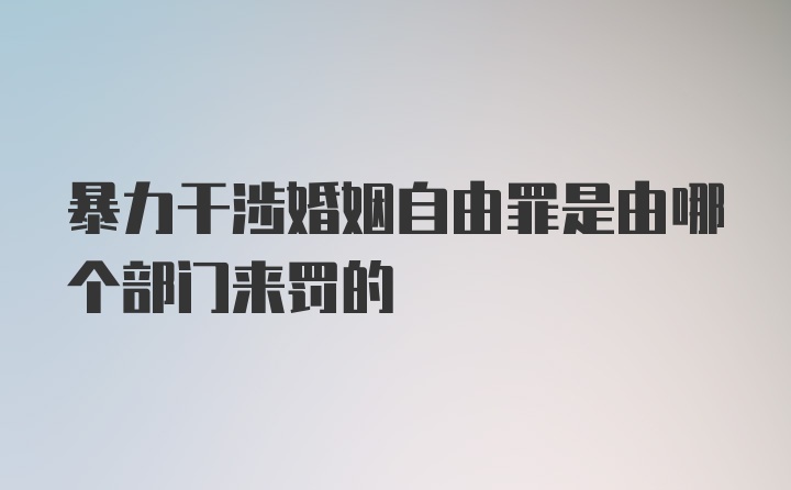 暴力干涉婚姻自由罪是由哪个部门来罚的