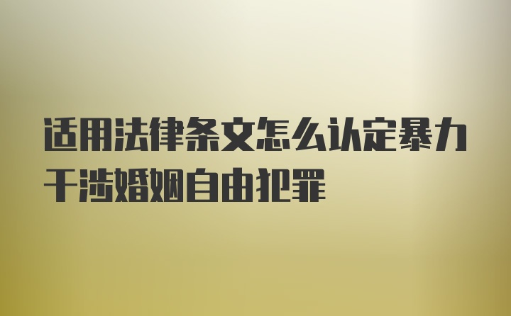 适用法律条文怎么认定暴力干涉婚姻自由犯罪