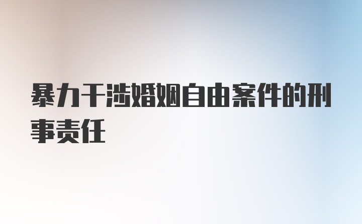 暴力干涉婚姻自由案件的刑事责任