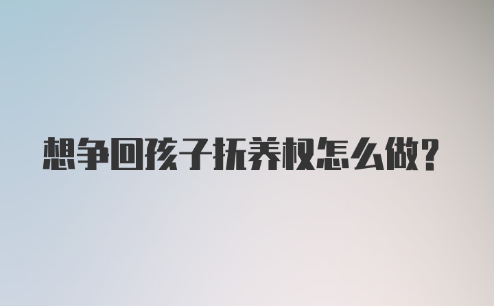 想争回孩子抚养权怎么做？