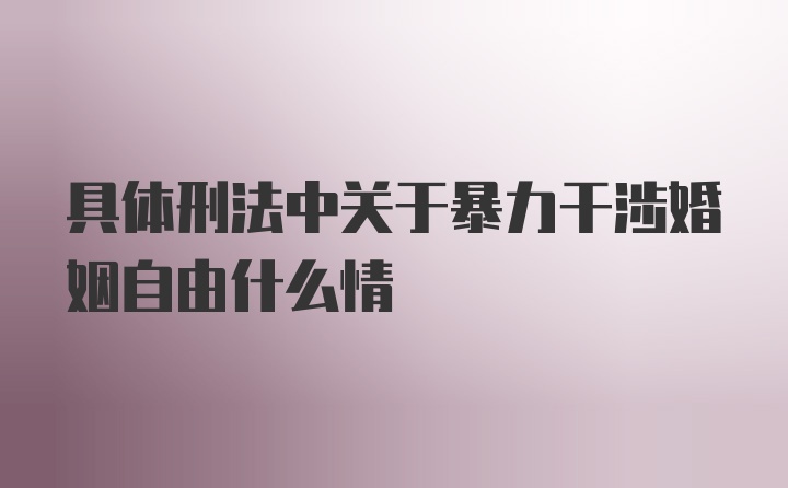 具体刑法中关于暴力干涉婚姻自由什么情