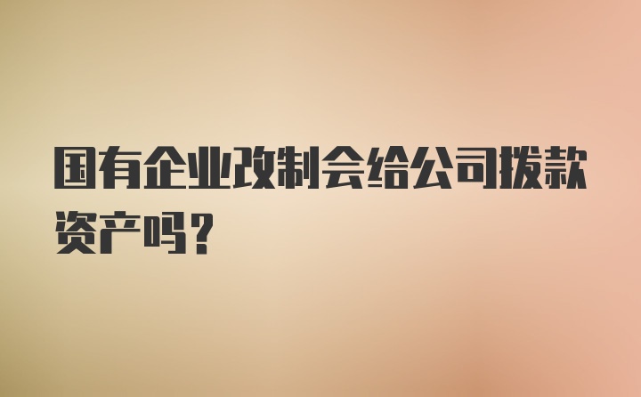 国有企业改制会给公司拨款资产吗？