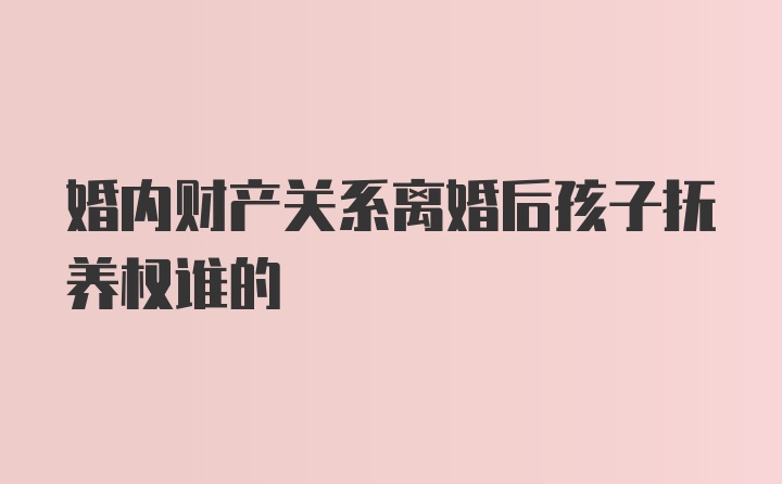 婚内财产关系离婚后孩子抚养权谁的