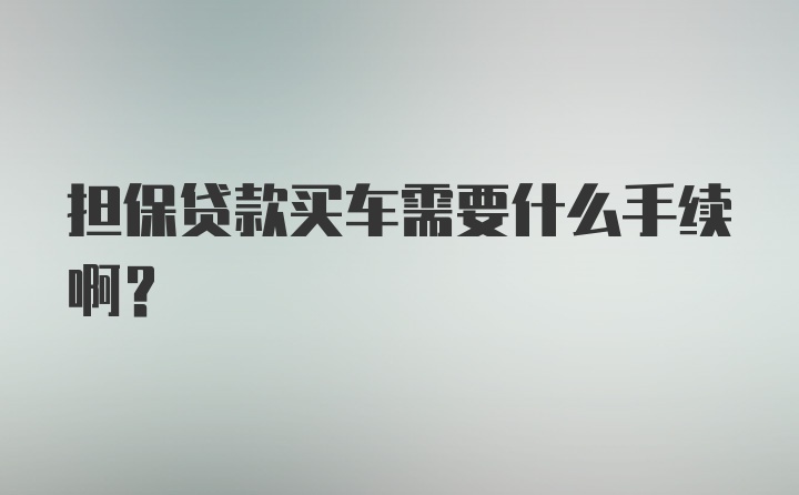 担保贷款买车需要什么手续啊？