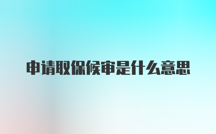 申请取保候审是什么意思