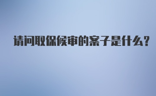 请问取保候审的案子是什么？