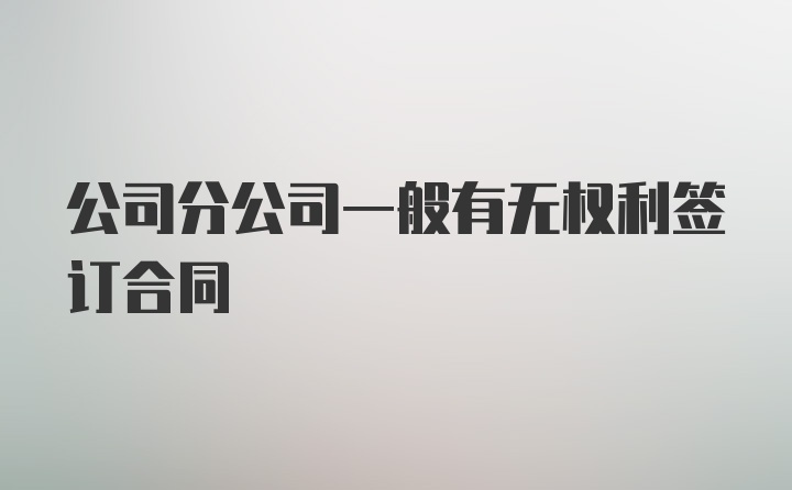 公司分公司一般有无权利签订合同