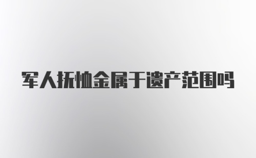 军人抚恤金属于遗产范围吗