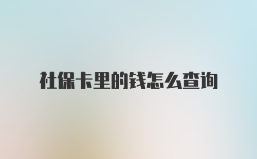 社保卡里的钱怎么查询