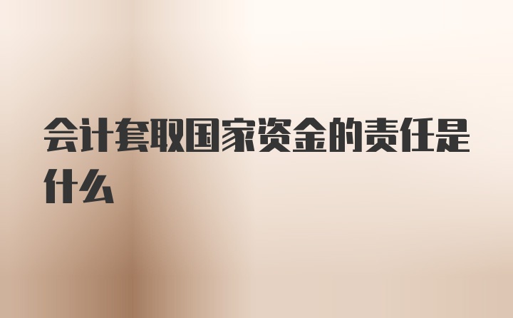 会计套取国家资金的责任是什么