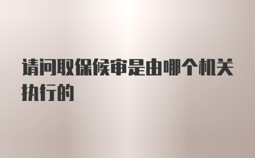 请问取保候审是由哪个机关执行的