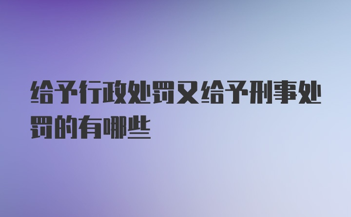 给予行政处罚又给予刑事处罚的有哪些