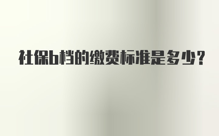 社保b档的缴费标准是多少？