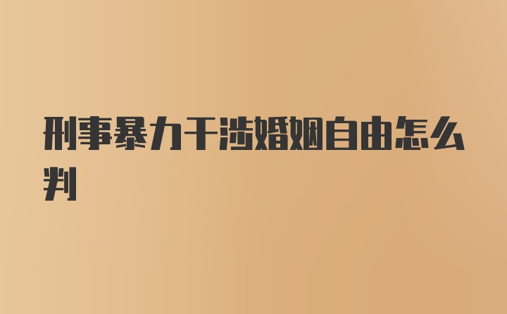 刑事暴力干涉婚姻自由怎么判