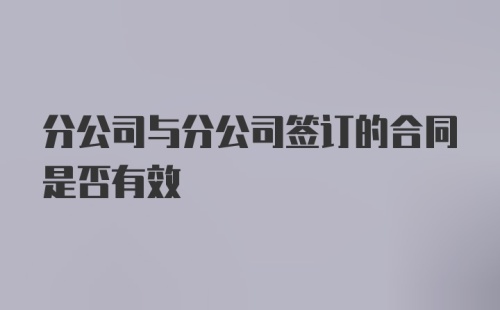 分公司与分公司签订的合同是否有效