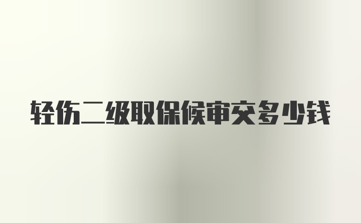 轻伤二级取保候审交多少钱