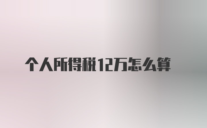 个人所得税12万怎么算