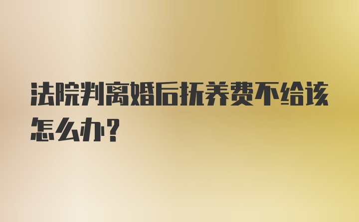 法院判离婚后抚养费不给该怎么办?