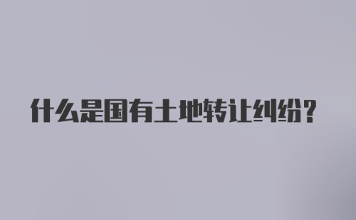 什么是国有土地转让纠纷？