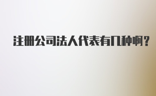 注册公司法人代表有几种啊？