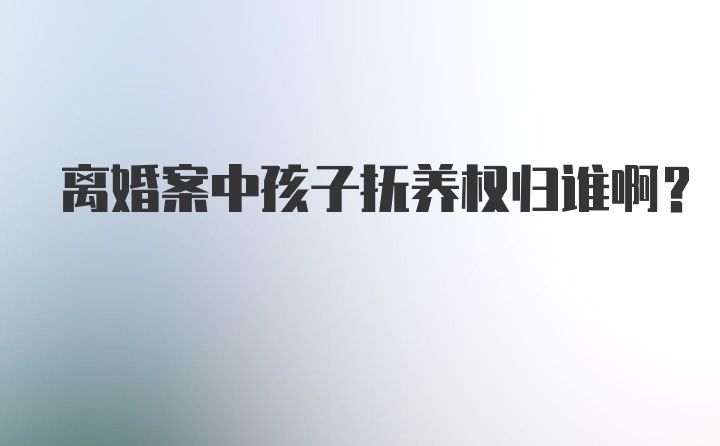 离婚案中孩子抚养权归谁啊？