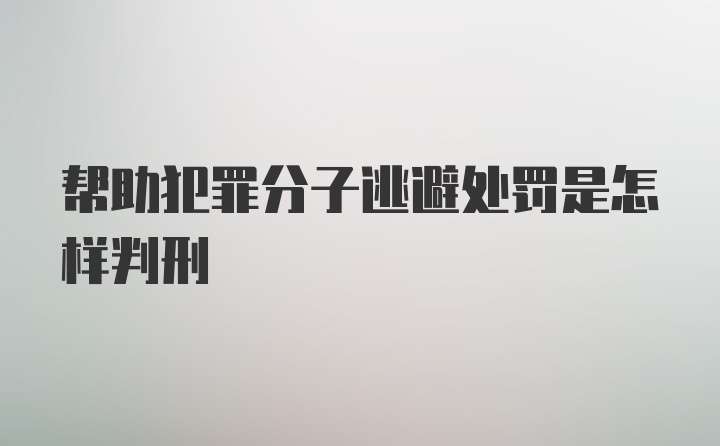 帮助犯罪分子逃避处罚是怎样判刑