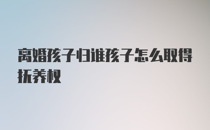 离婚孩子归谁孩子怎么取得抚养权