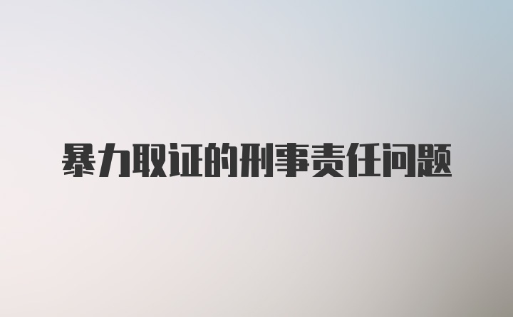 暴力取证的刑事责任问题