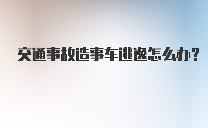 交通事故造事车逃逸怎么办？