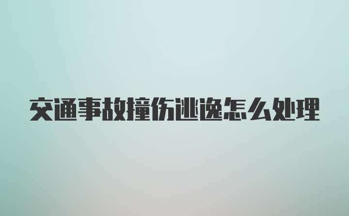 交通事故撞伤逃逸怎么处理