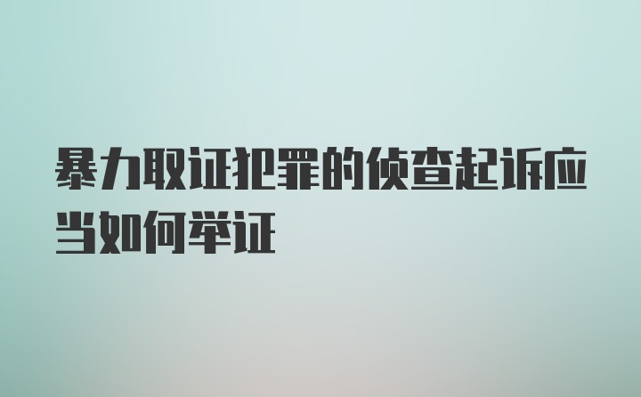 暴力取证犯罪的侦查起诉应当如何举证