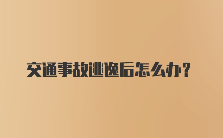 交通事故逃逸后怎么办？