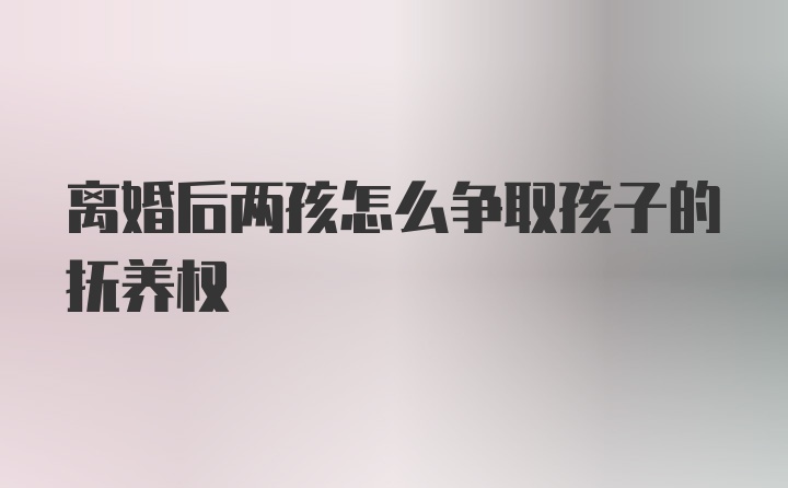 离婚后两孩怎么争取孩子的抚养权