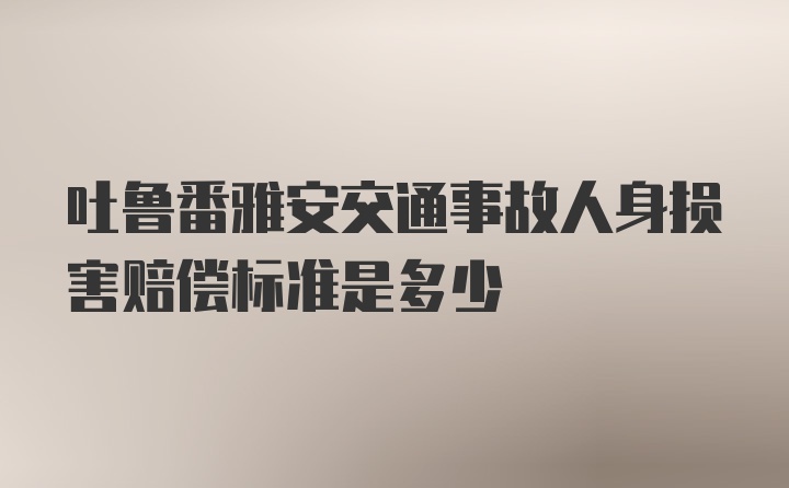 吐鲁番雅安交通事故人身损害赔偿标准是多少