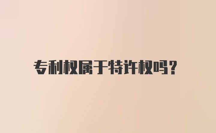 专利权属于特许权吗?