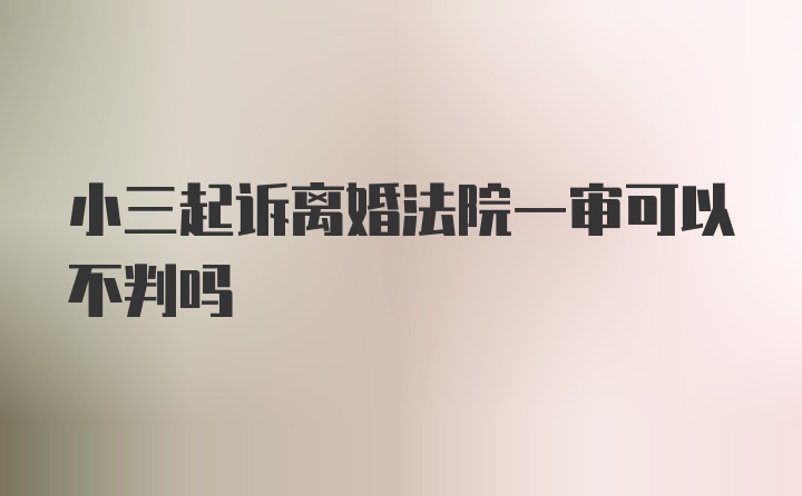 小三起诉离婚法院一审可以不判吗