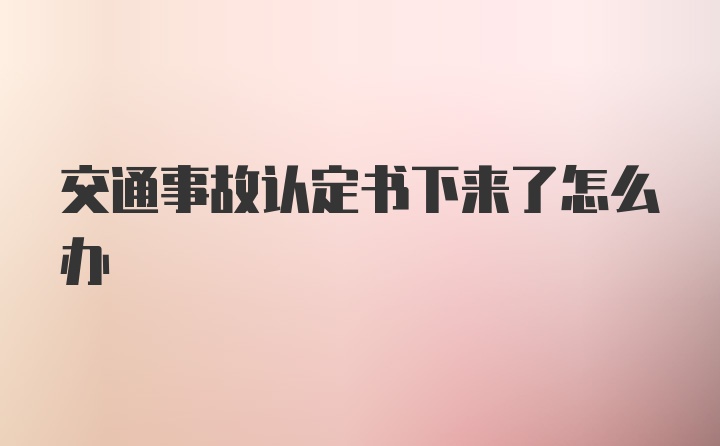 交通事故认定书下来了怎么办