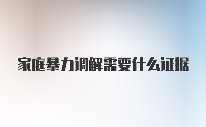 家庭暴力调解需要什么证据