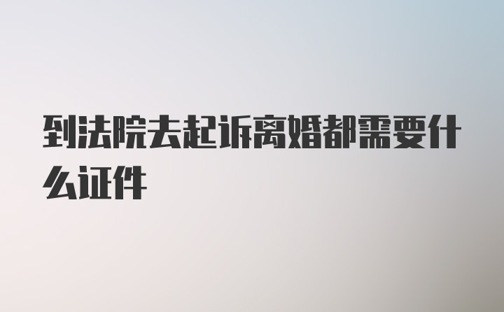 到法院去起诉离婚都需要什么证件