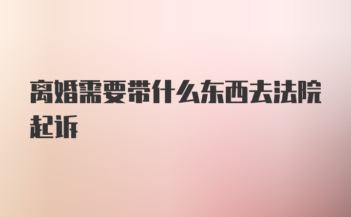 离婚需要带什么东西去法院起诉